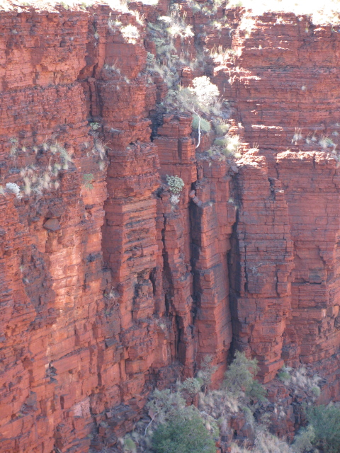 Oxer Lookout