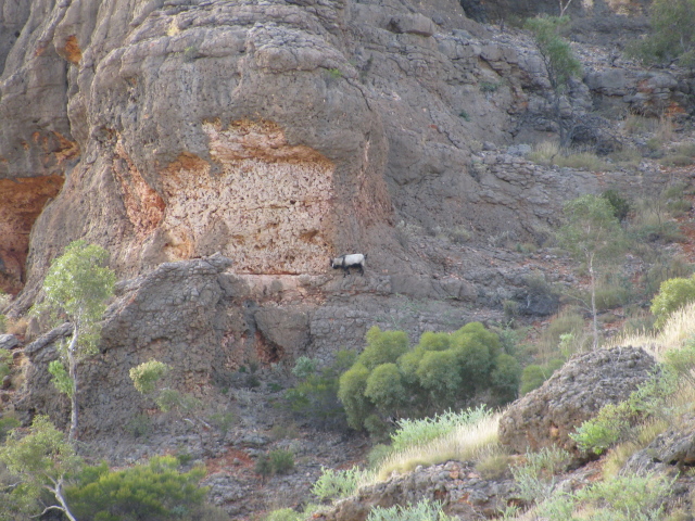 Shothole Canyon
